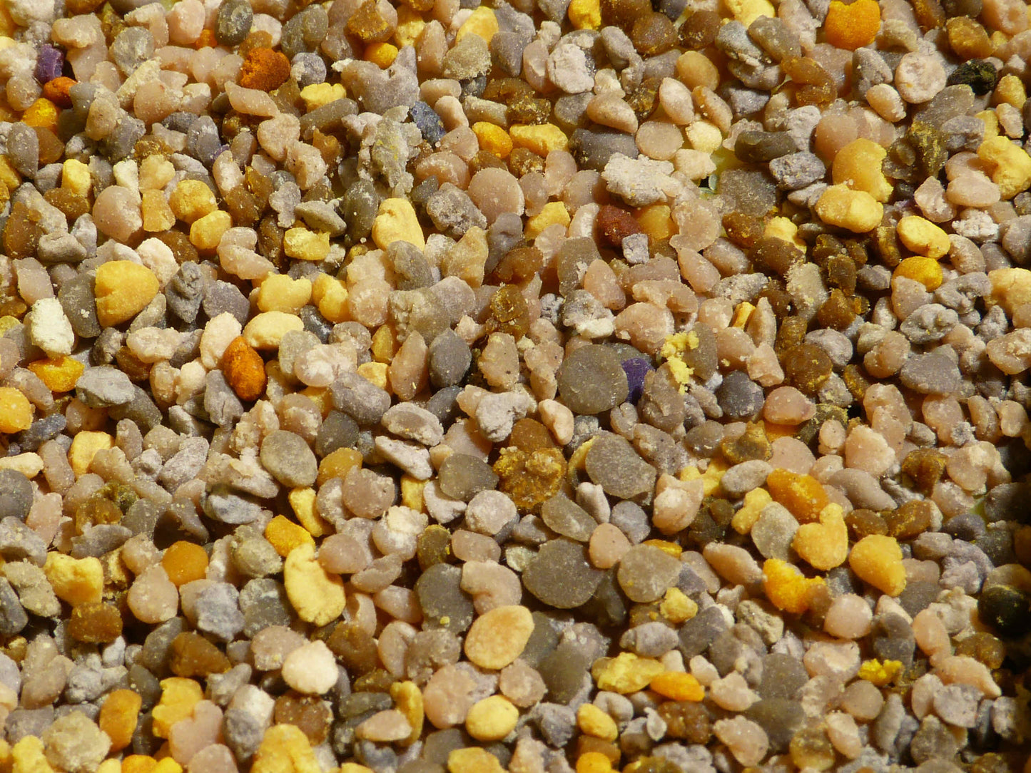 Pollen Bio du Var