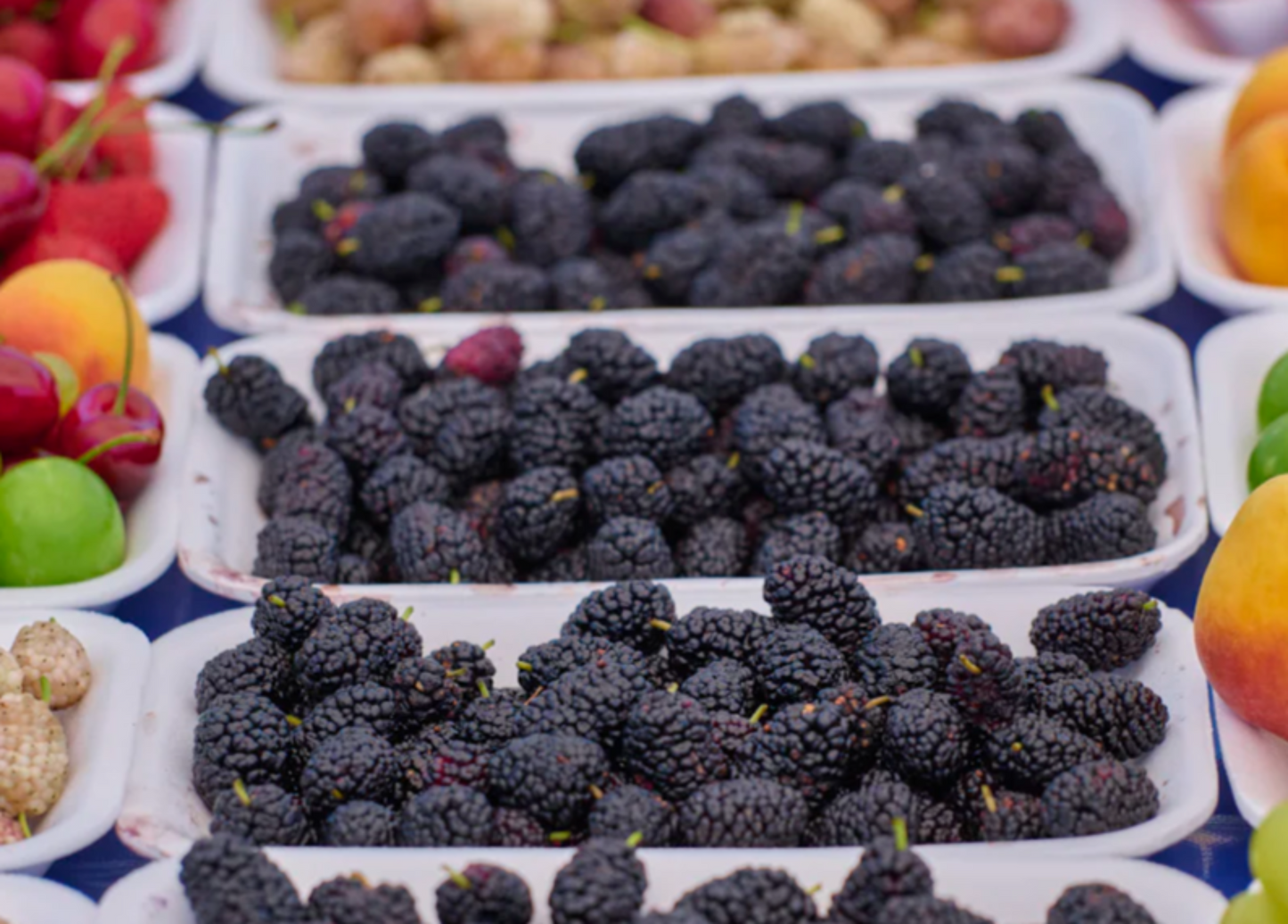 Confiture de mûre